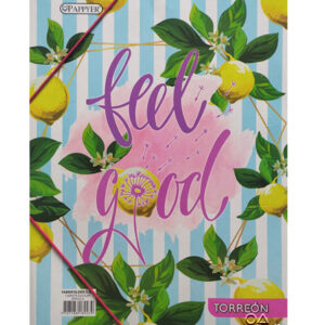 Carpeta plastificada sencilla