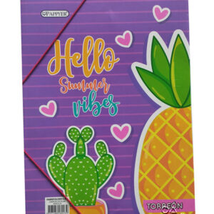 Carpeta plastificada sencilla