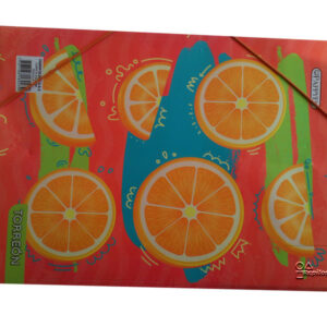 Carpeta plastificada sencilla