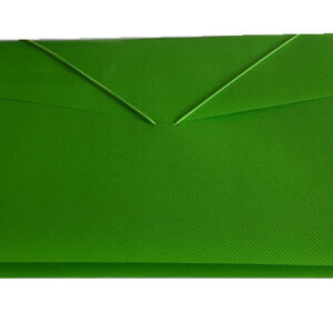 Carpeta plástica fuelle-verde limón